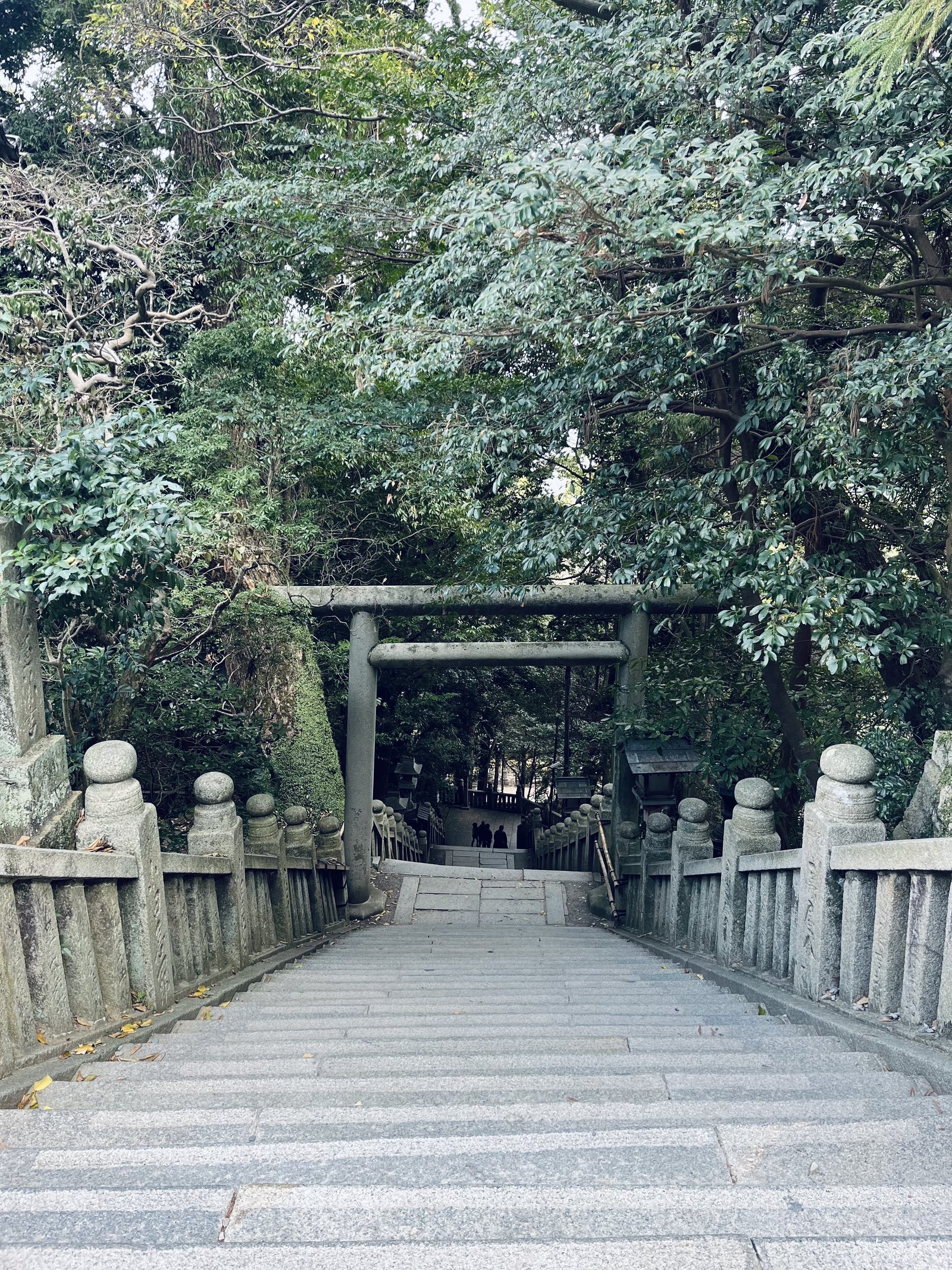 Forest stairs leading toward a quiet temple viewpoint in Japan