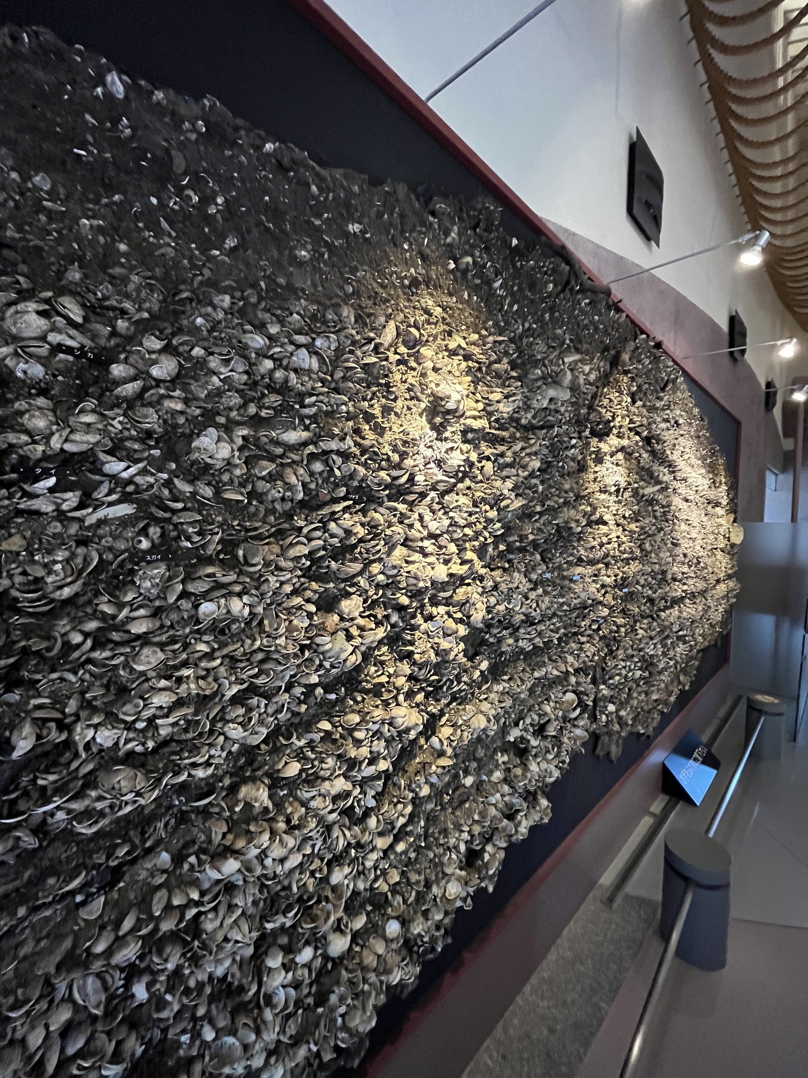Shell mound display at the Jomon Village History Museum in Oku-Matsushima