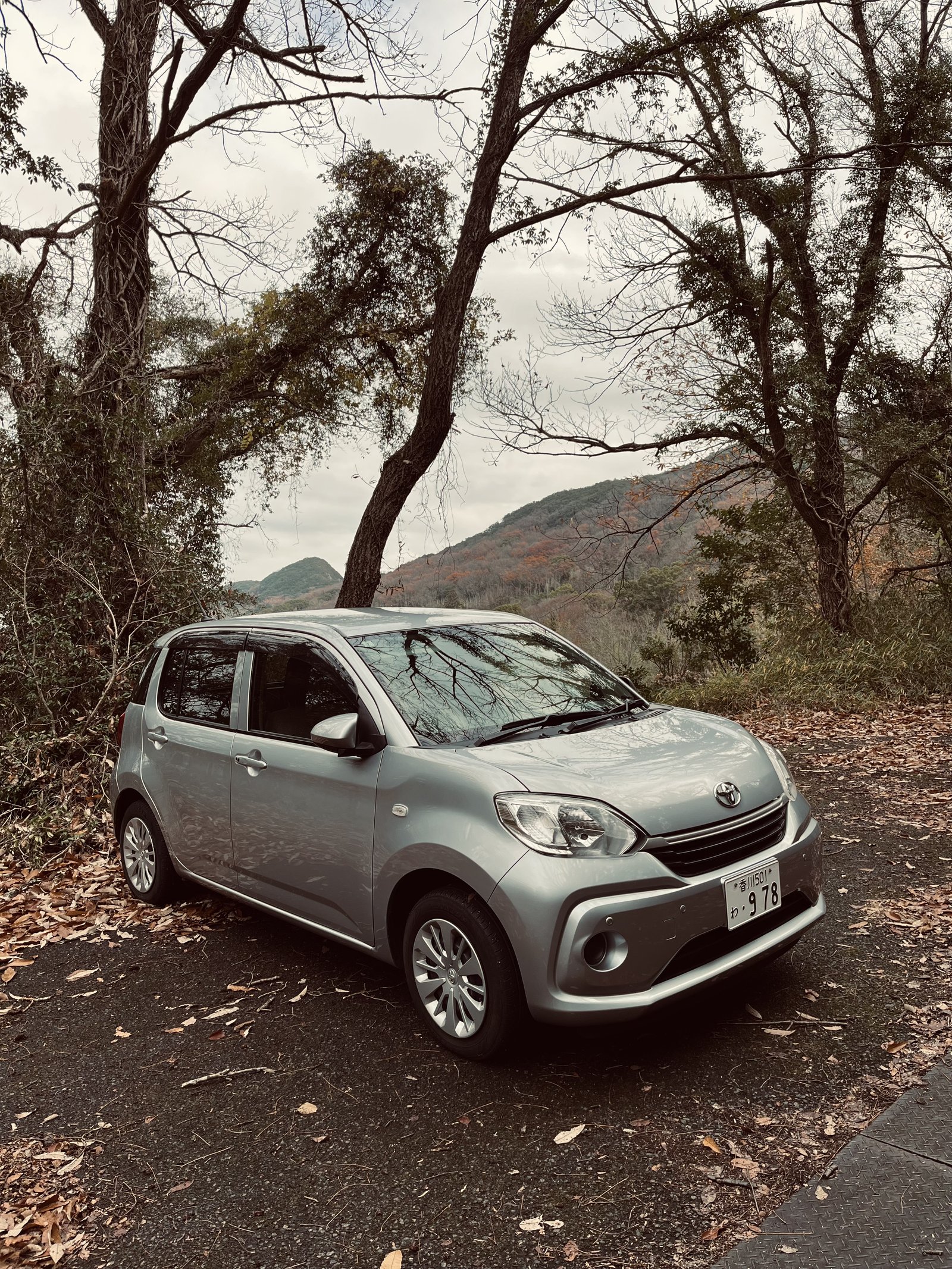 Compact rental car parked on a rural road in Japan