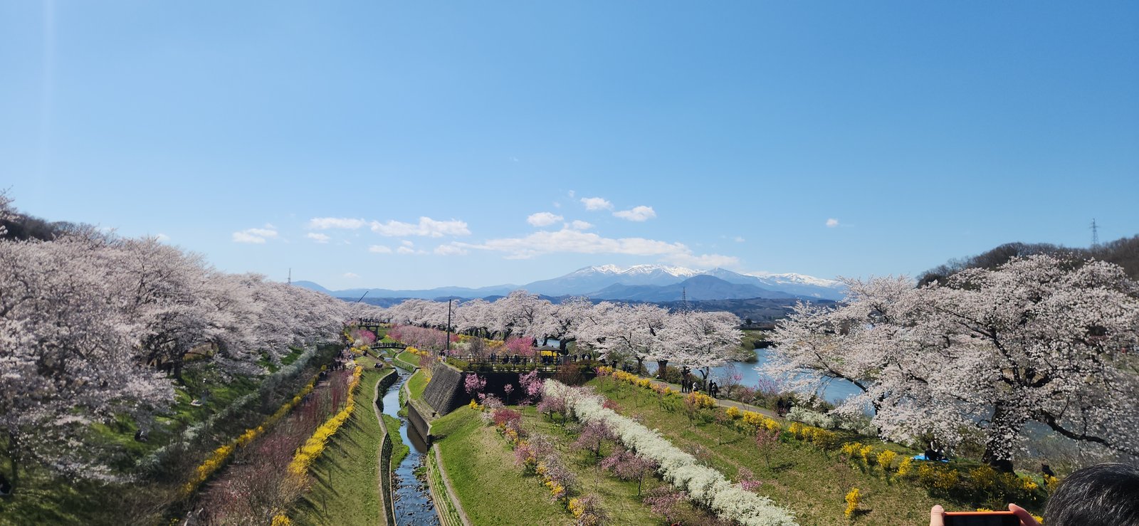 Shiroishi River sakura corridor with Zao mountains in Miyagi, Japan