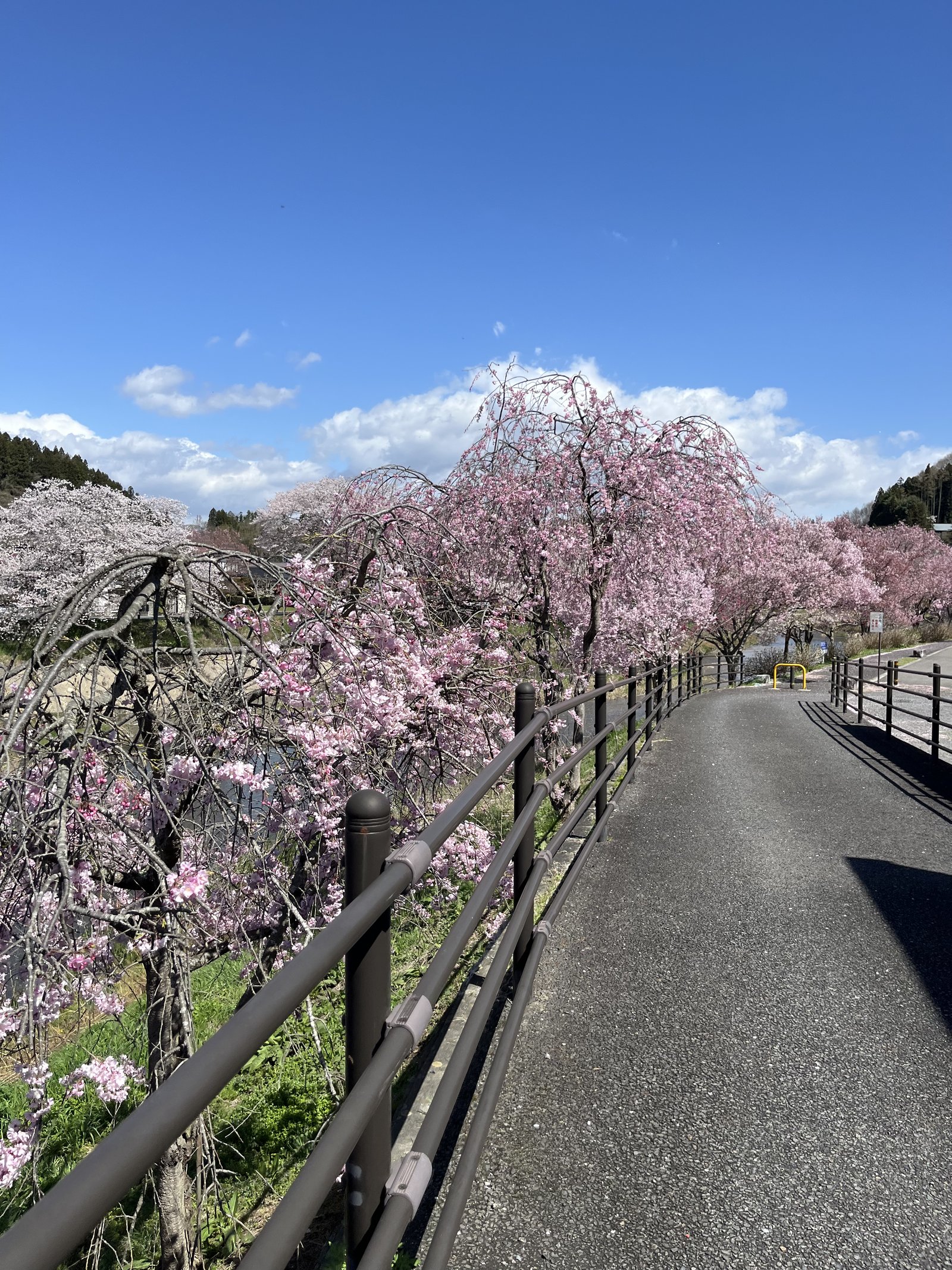 Quiet rural road near Nekonaki Onsen Izutsuya in Ishikawa, Fukushima.