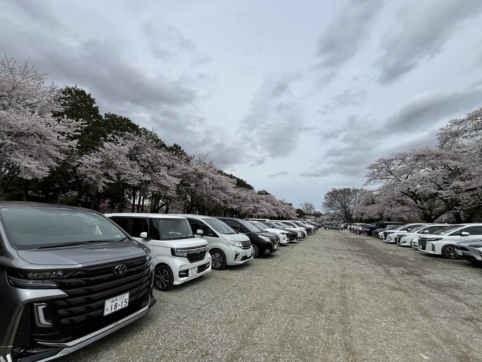 Coin parking machine in Japan
