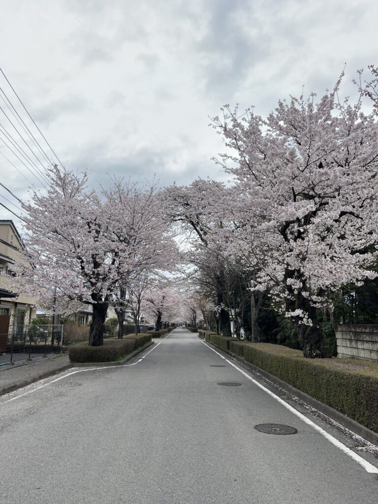 Utsunomiya city stop before renting a car for rural Tochigi
