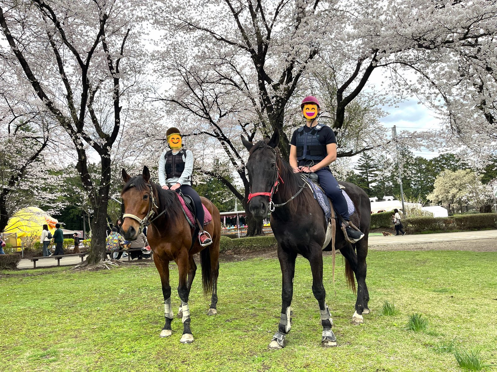 Two riders on horses under cherry blossoms at Nasu Senbonmatsu Ranch, faces covered with emoji