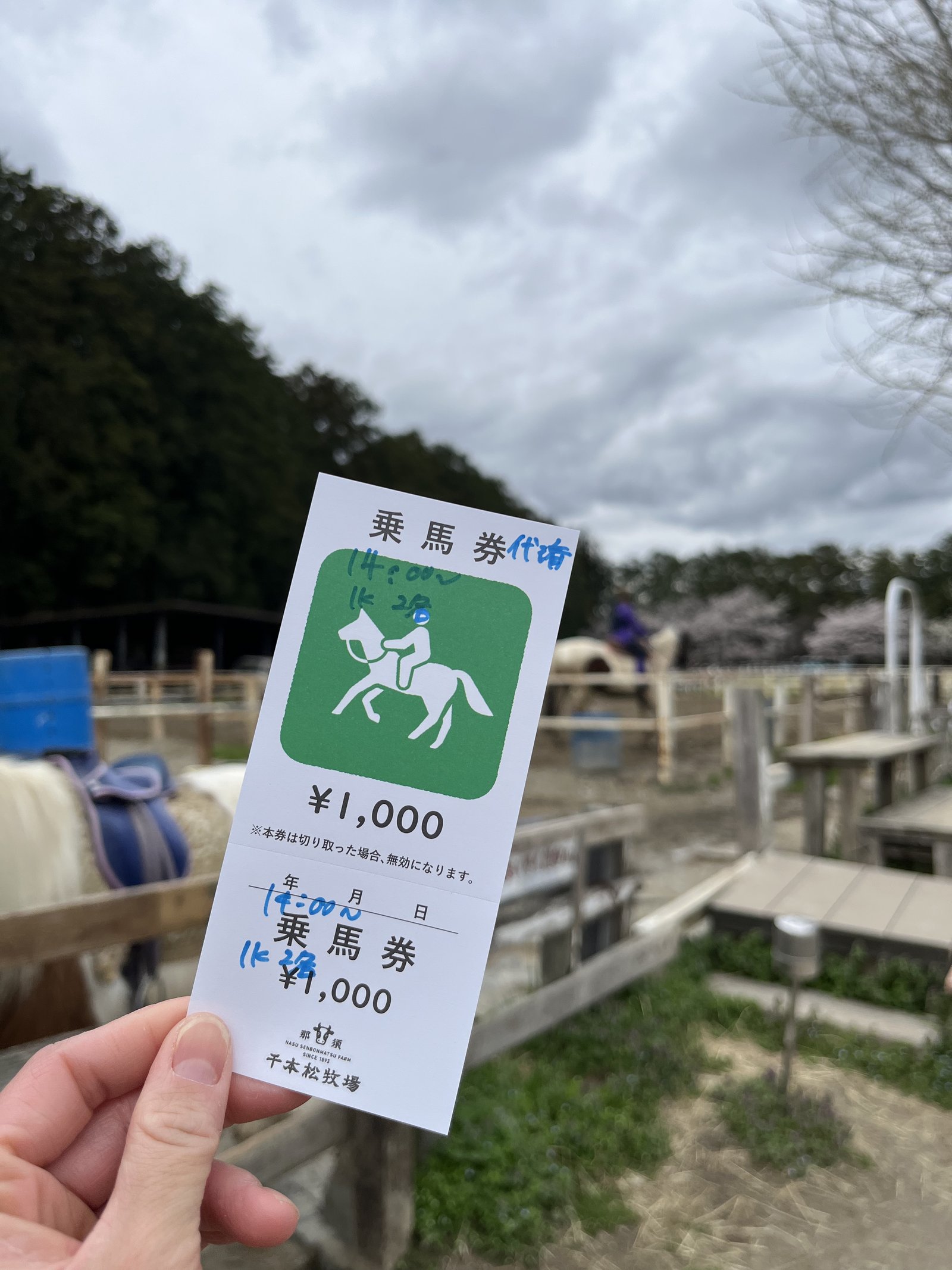 Horse riding ticket for ¥1,000 at Nasu Senbonmatsu Ranch